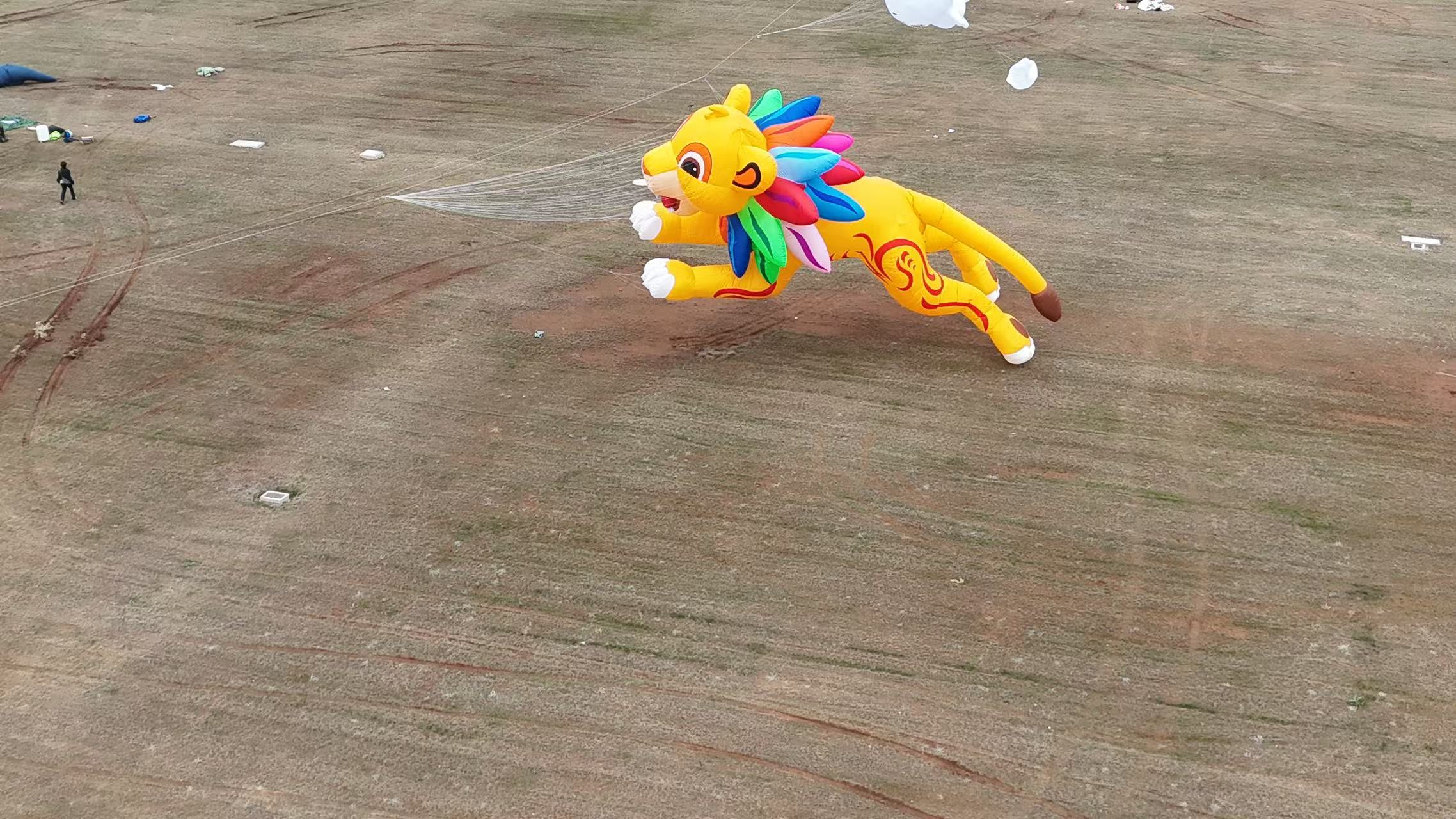 淄博市品牌风筝定制儿童风筝定制 - 价格