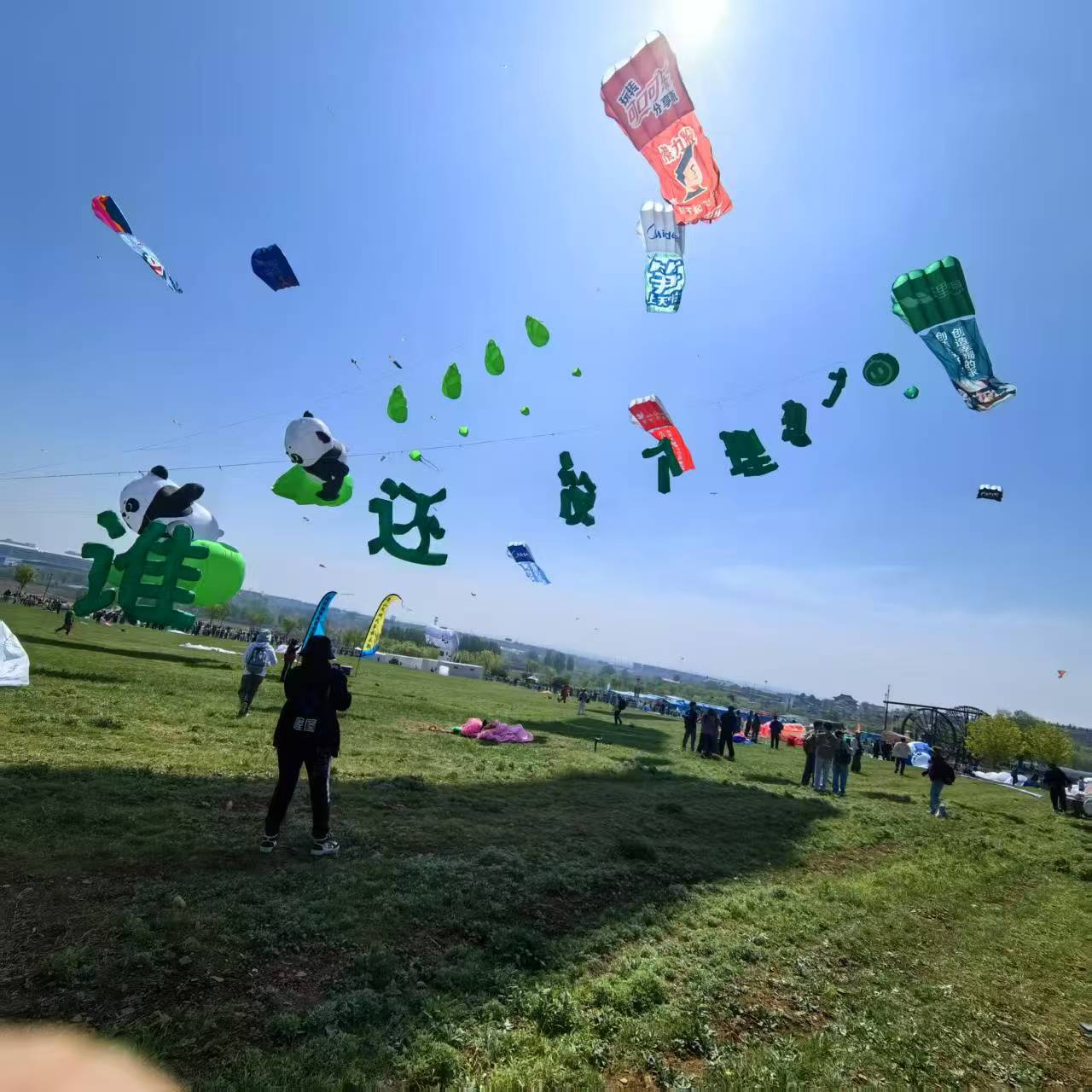 淄博市风筝定制风筝定制 - 厂家